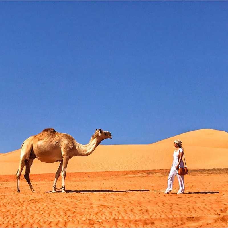 Гостевой дом Panorama Camp Bidiya Al Wasil Экстерьер фото